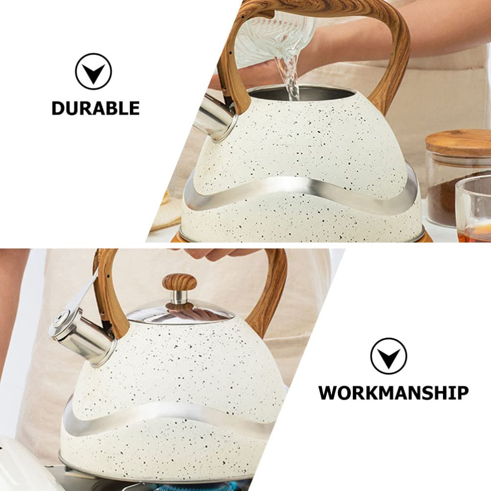 HEMOTON 1pc Stainless Steel Whistling Tea Kettle - Stovetop Whistle Kettle for Gas & Electric Stoves - Classic Tea Pot for Home, Kitchen & Camping - Perfect for Boiling Water, Making Tea & Coffee