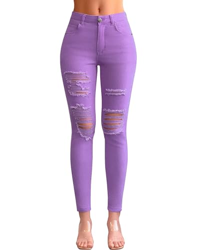 Lavender Purple