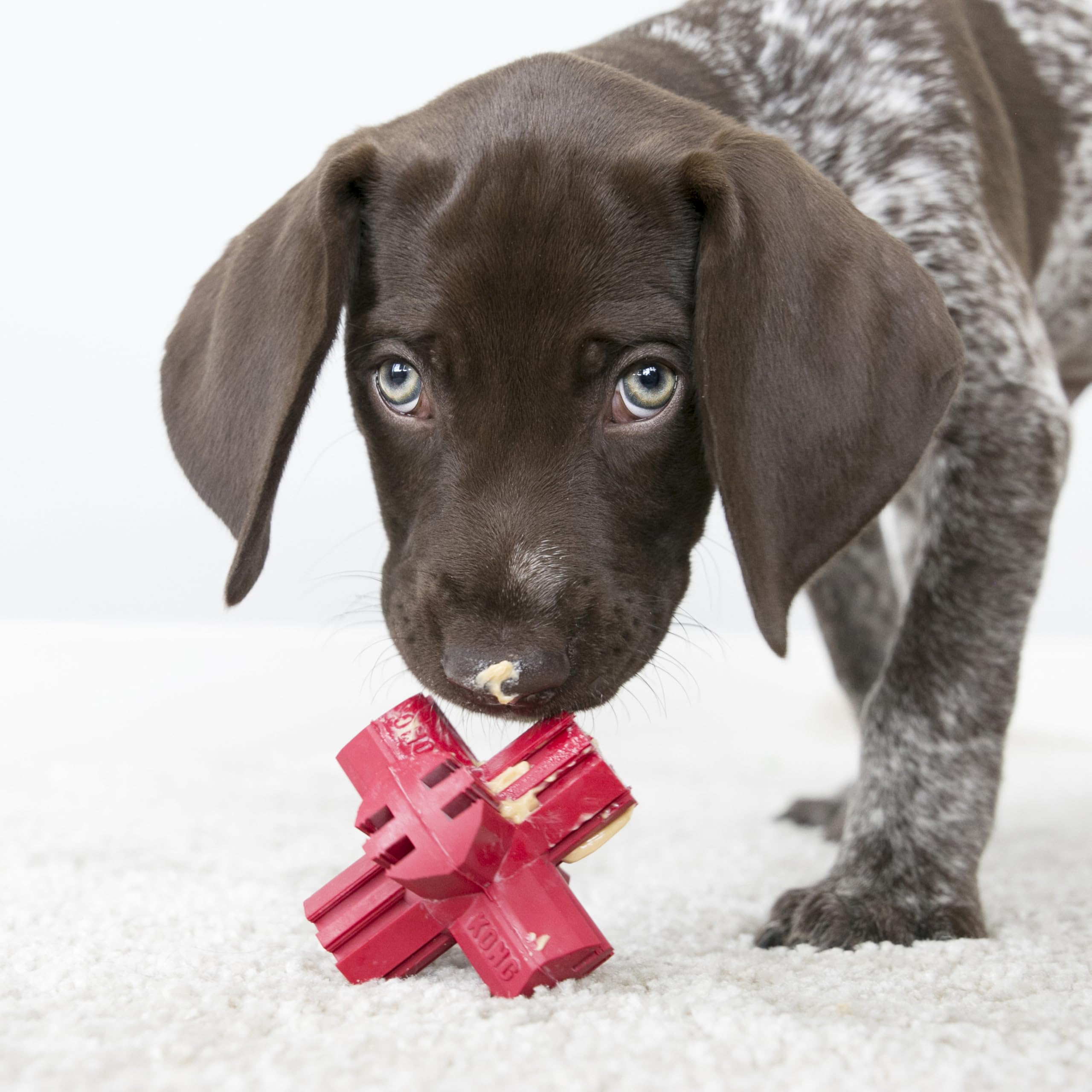 KONG Jump'N Jack - Durable Natural Rubber Chew Toy for Medium Dogs - Promotes Dental Health & Satisfies Chewing Instincts - Use with Treats or Peanut Butter for Extended Play - Perfect for Indoor & Outdoor Playtime