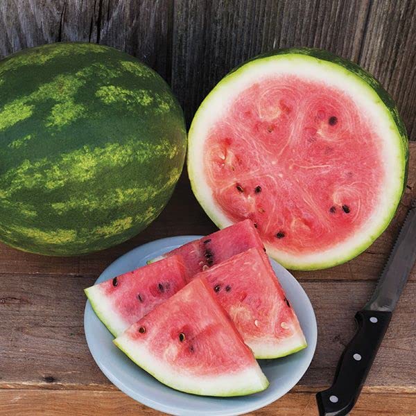 Eden Brothers Crimson Sweet Watermelon Seeds - 5 LBS Non-GMO Heirloom Seeds for Planting, Gardening & Homegrown Fruits | Perfect for Warm Season Planting in USDA Zones 3-10 | Great for Backyard Gardens, Farmers Markets & Fresh Summer Snacks
