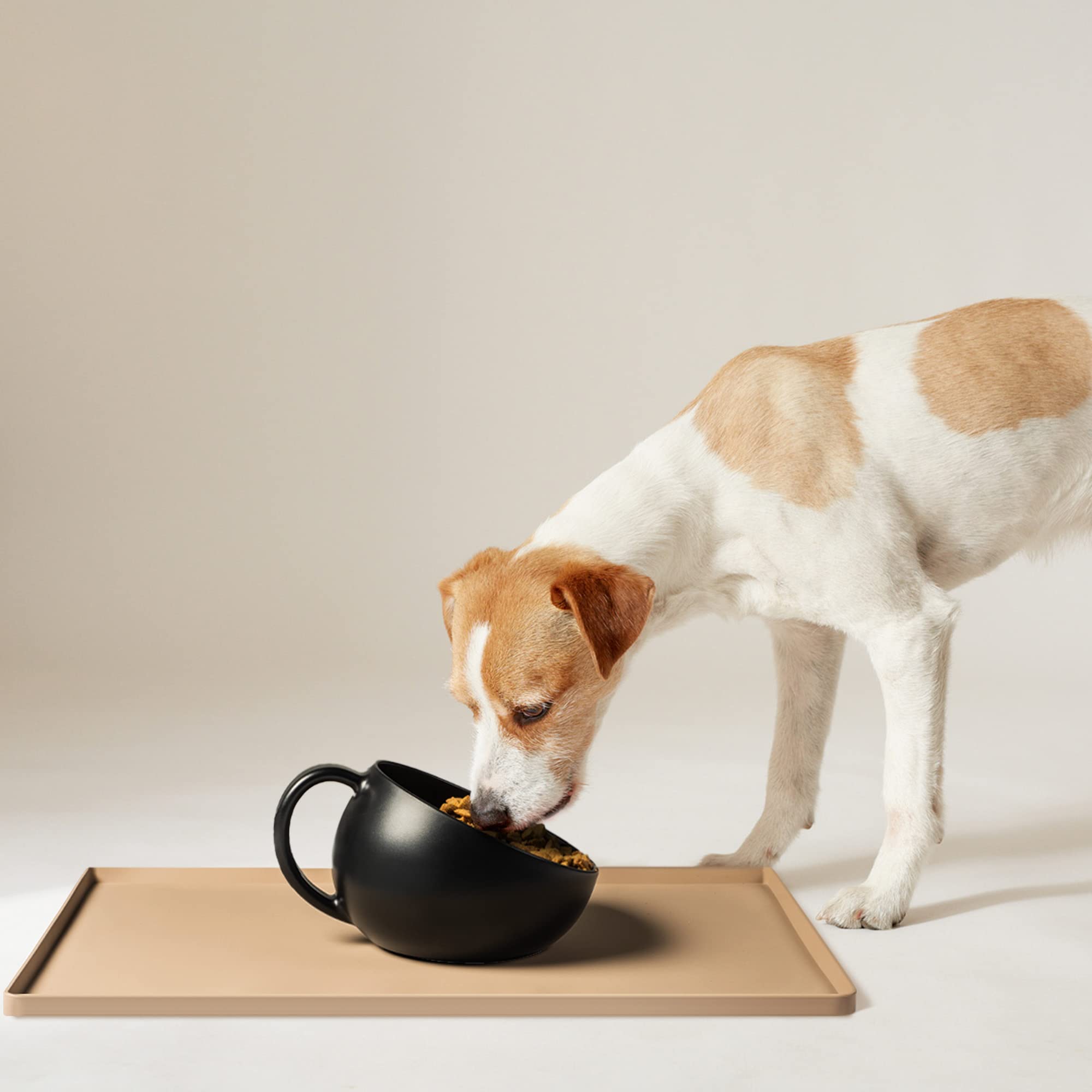 **Non-Slip Dog Bowl for Large Dogs - Stainless Steel Pet Food & Water Bowl with Anti-Skid Base (Standard, Black) - Perfect for Mealtime, Travel & Outdoor Use**