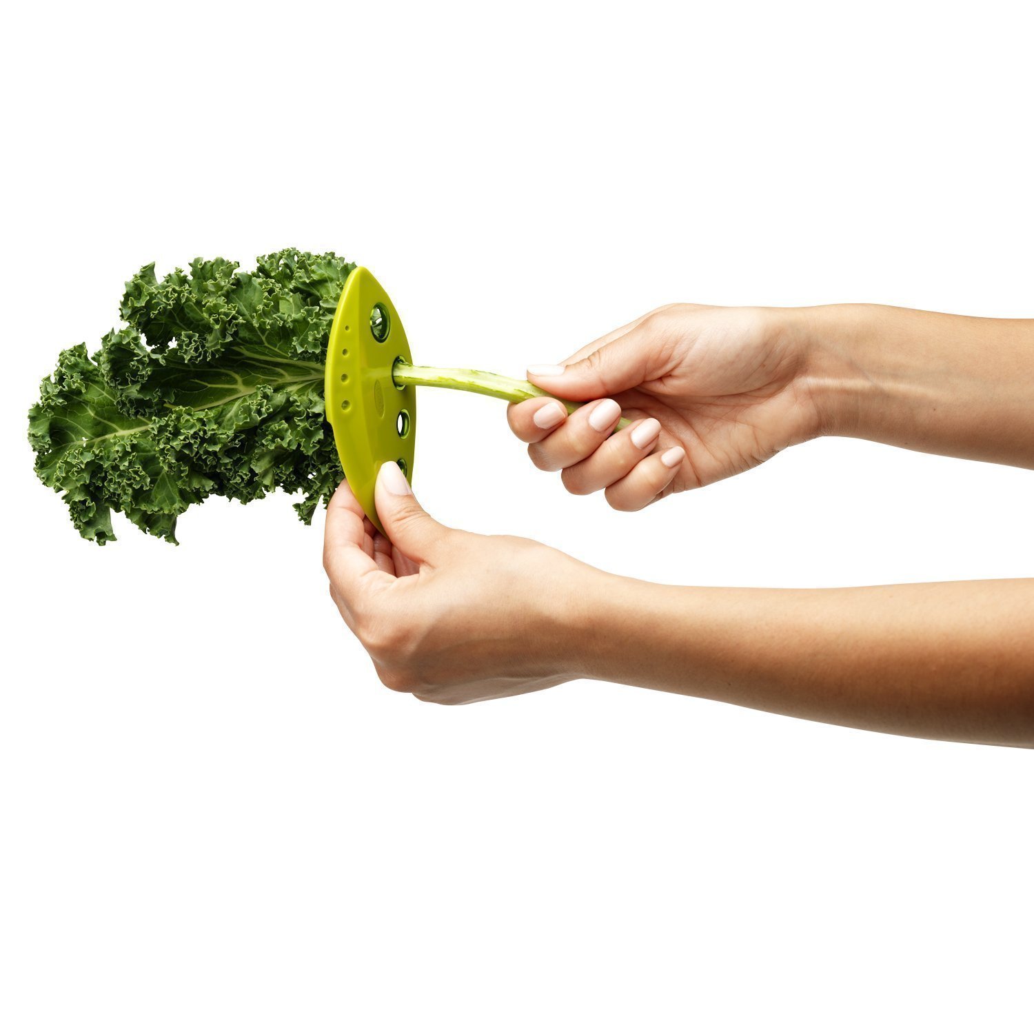 Organic Kale & Greens Stripper - Fresh Herb Leaf Stripping Tool for Cooking & Salad Prep - Perfect for Home Chefs & Healthy Eating Enthusiasts