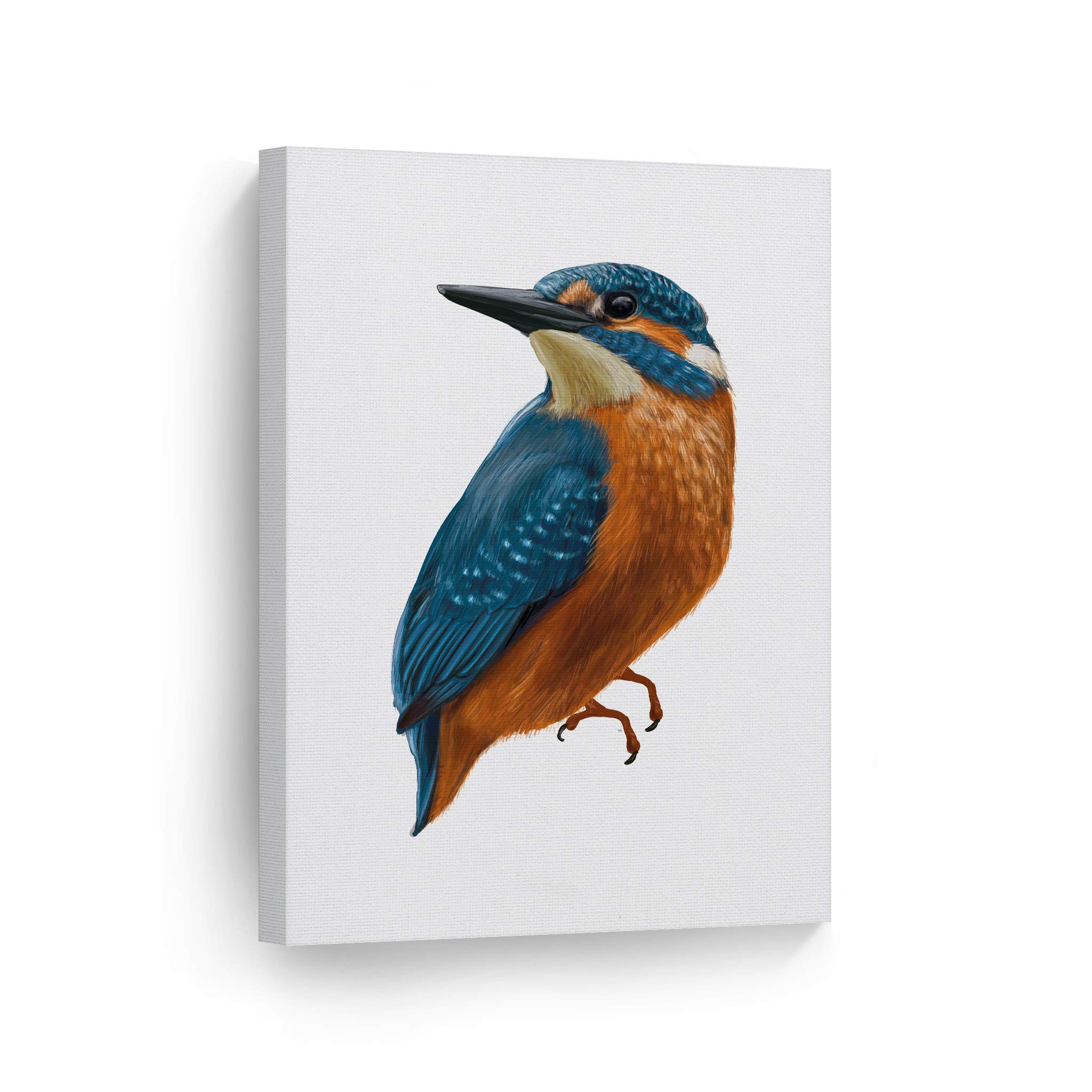 Beautiful Blue Kingfisher Bird Illustration Canvas Print - Woodland Animal Wall Art for Pet Bird Lovers, Office, Bedroom, Veterinary & Nursery Decor - 40x30 - Perfect for Home, Kids Room & Wildlife Themed Spaces