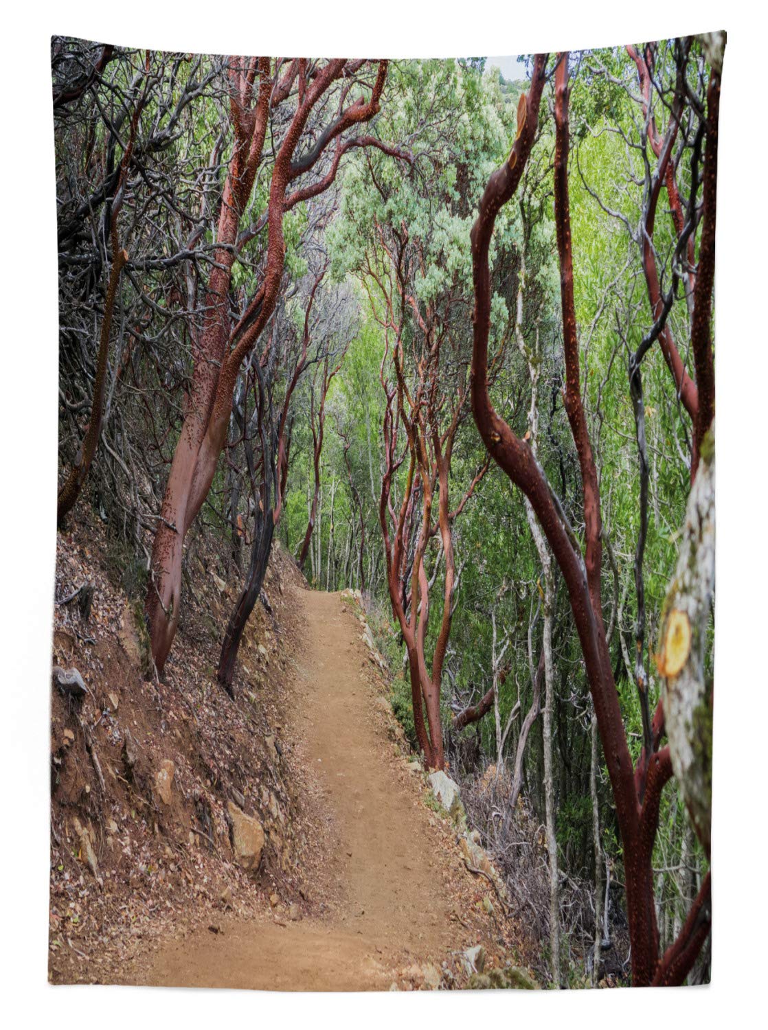 Ambesonne Washable Outdoor Tablecloth - Manzanita Trees & Stony Path Landscape Design, 58