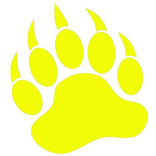 Grizzly Bear Paw Print 5