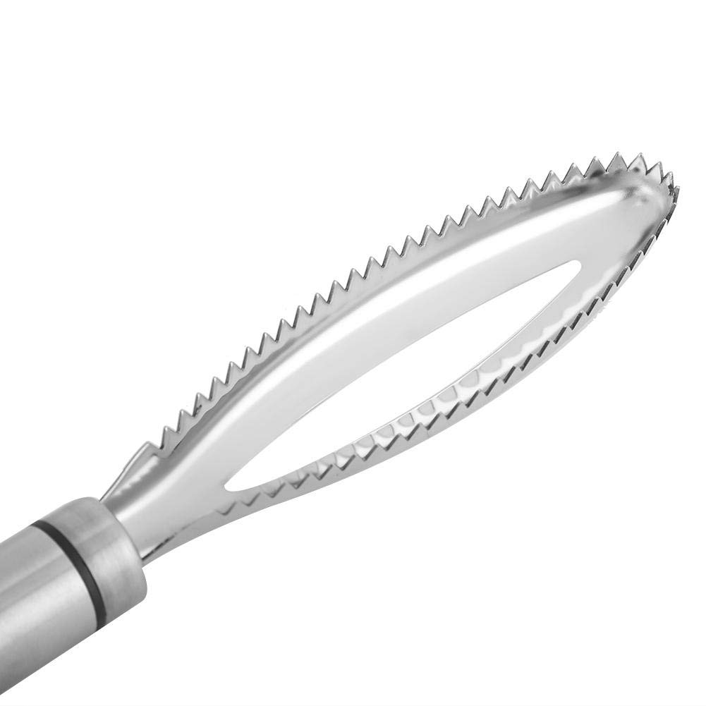 Stainless Steel Fish Scaler - Professional Fish Scale Remover & Cleaner with Ergonomic Handle - Perfect for Kitchen, Camping, and Outdoor Cooking