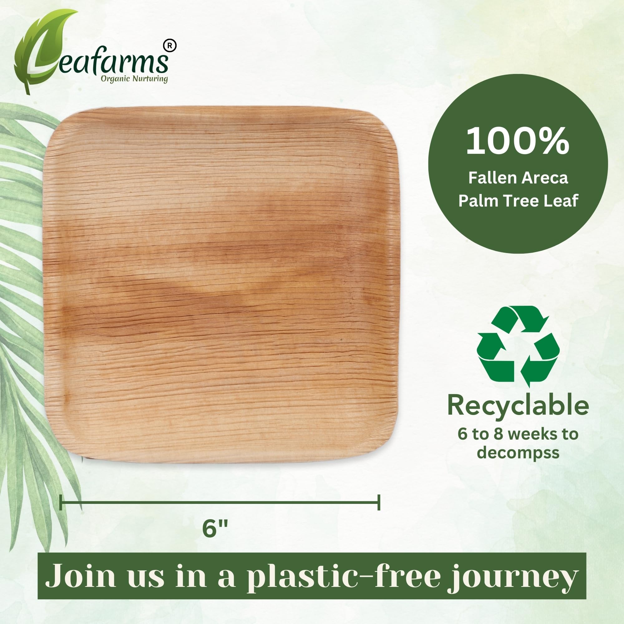 Eco-Friendly 6
