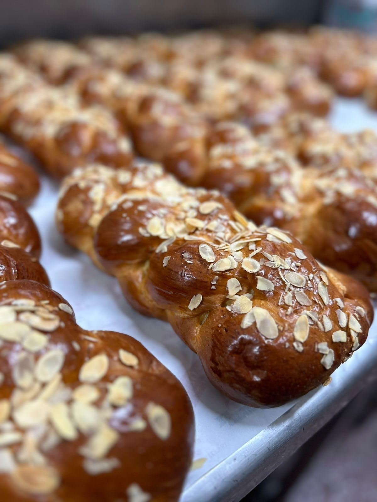 Artisan Levant Tsoureki - Authentic Greek Sweet Brioche Bread (1.5 LB) | Perfect for French Toast, Breakfast & Holiday Celebrations