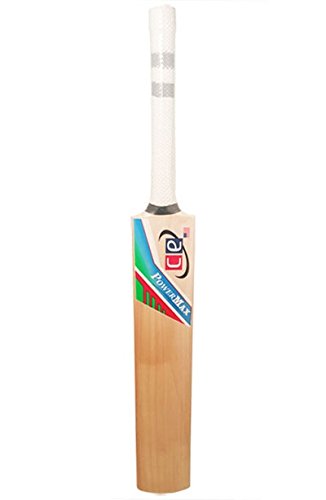 Premium Kashmir Willow Cricket Bat - CE Power Max with Free Bat Cover | Perfect for Practice, Matches & Training | High Performance Cricket Equipment for Players & Enthusiasts