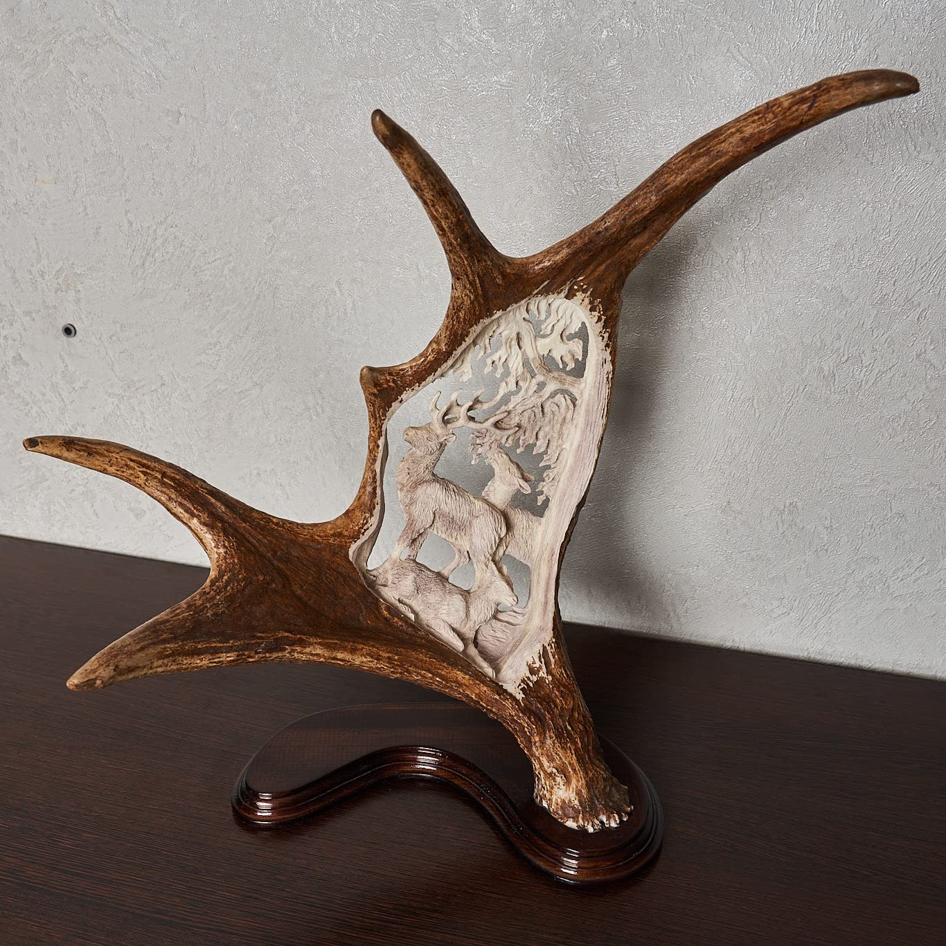 Real Moose Taxidermy Carved Antler Mount - Handcrafted Deer Horn Wall Decor for Hunting Lodge & Cabin - ST7104 | Rustic Home Decor, Man Cave Gift, Wildlife Trophy