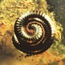 Nine Inch Nails Closer CD Album | Industrial Rock Music | 1994 Release | Perfect for Collectors & 90s Alternative Music Fans