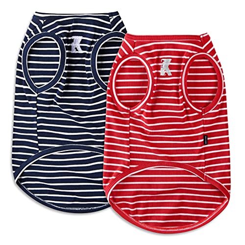Red + Blue