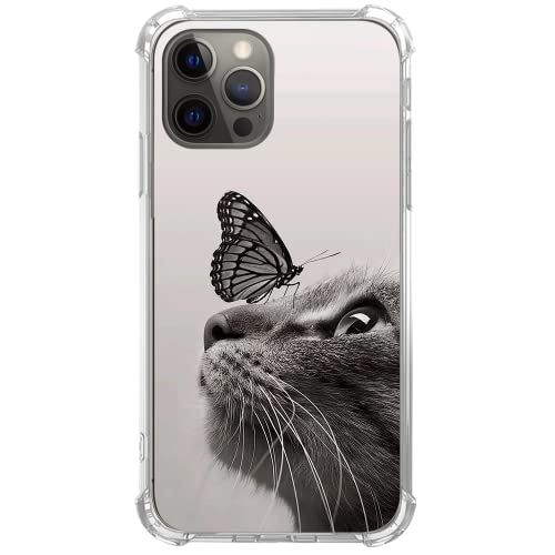 Cat Butterfly