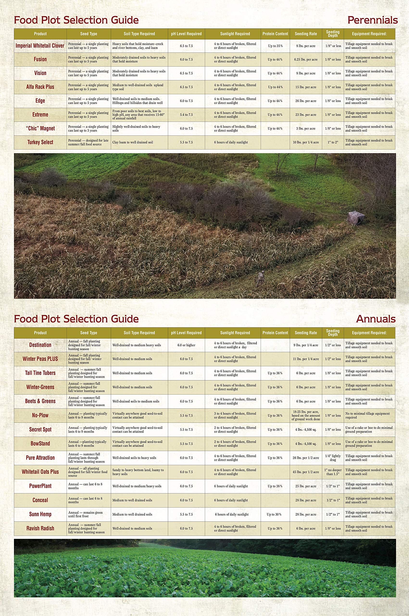 Whitetail Institute Beets & Greens Deer Food Plot Seed - Premium Fall Planting Mix with Sugar Beets, Kale, Turnips & Radish | Attracts & Sustains Deer All Season | Ideal for Hunting Plots & Wildlife Nutrition