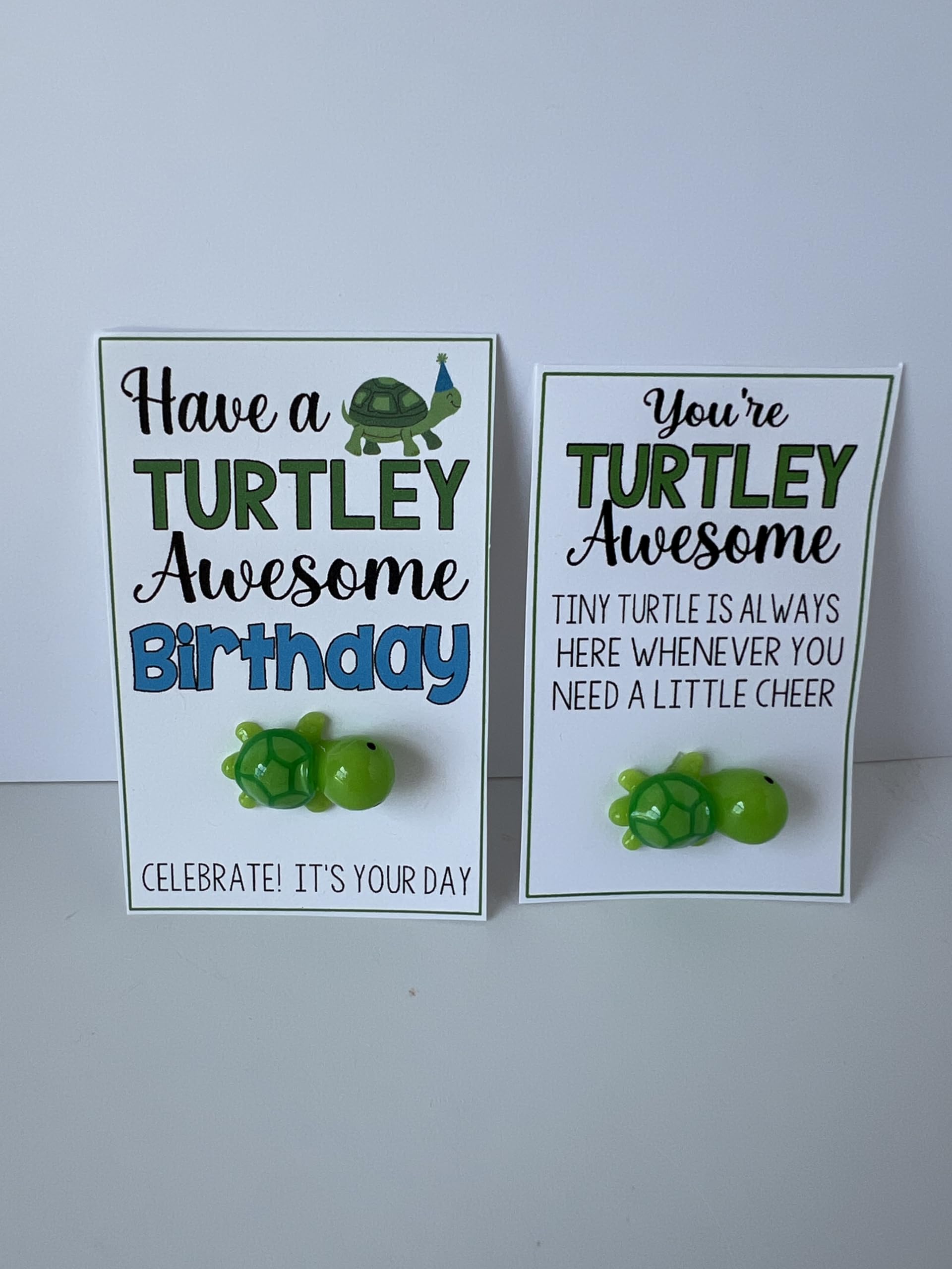 TURTLEY AWESOME Birthday Gift Bags Set of 2 - Mini Turtle-Themed Party Favors for Birthdays, Baby Showers & Special Occasions
