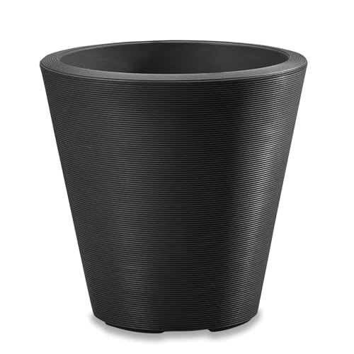 Caviar Black