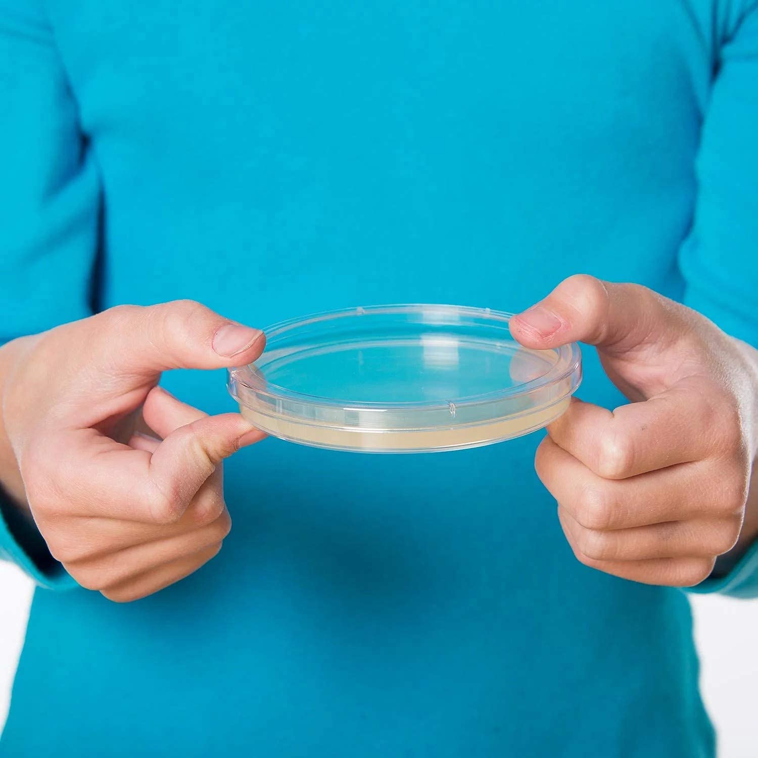 ECNEICS 75mm Borosilicate Glass Petri Dish - Pack of 1 | Lab-Grade for Scientific Experiments, Microbiology, Cell Culture & Classroom Use