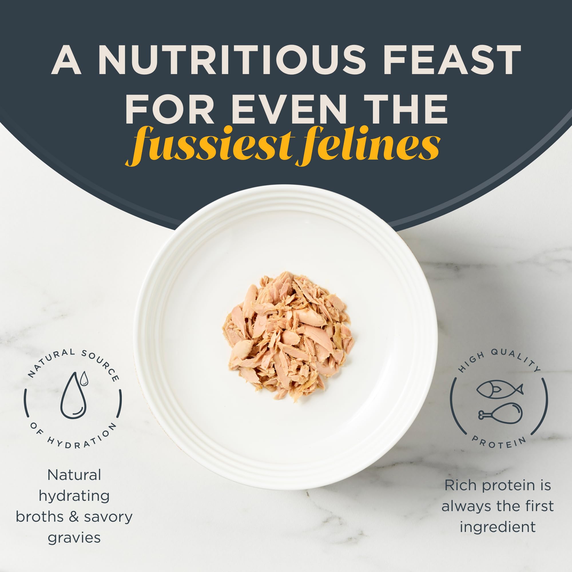 **Reveal Grain-Free Wet Cat Food - Limited Ingredient Tuna Fillet in Broth (24 Pack, 2.47 oz Cans) - Natural & Healthy Canned Cat Food for Sensitive Stomachs - Perfect for Picky Eaters & Indoor Cats**