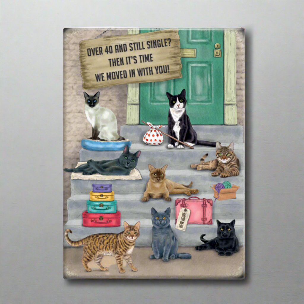 Funny Cat Fridge Magnet for Single Women Over 40 - Perfect for Refrigerators, Office Desks & Gag Gifts