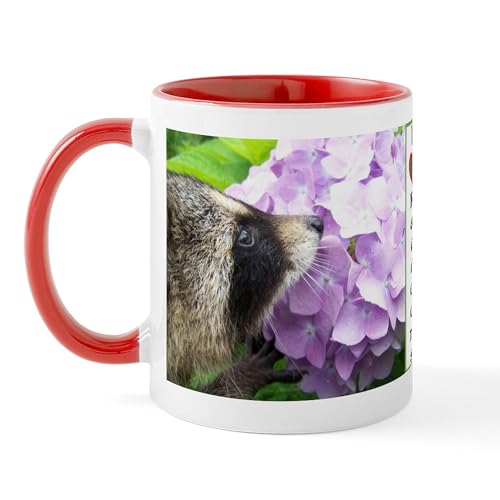White/Red Inside - I Love Raccoons Mug