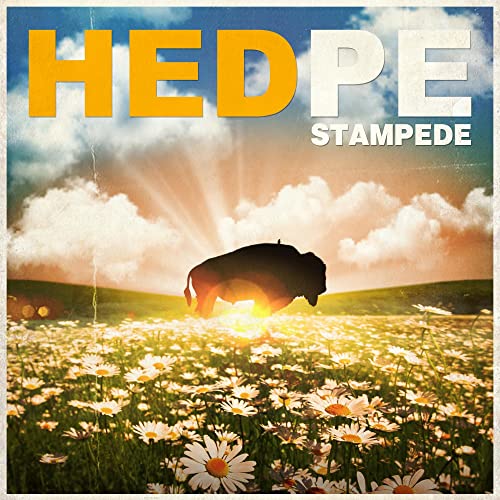 HED P.E. STAMPEDE CD - Punk Rock Album for Music Lovers | Perfect for Road Trips, Workouts & Party Playlists