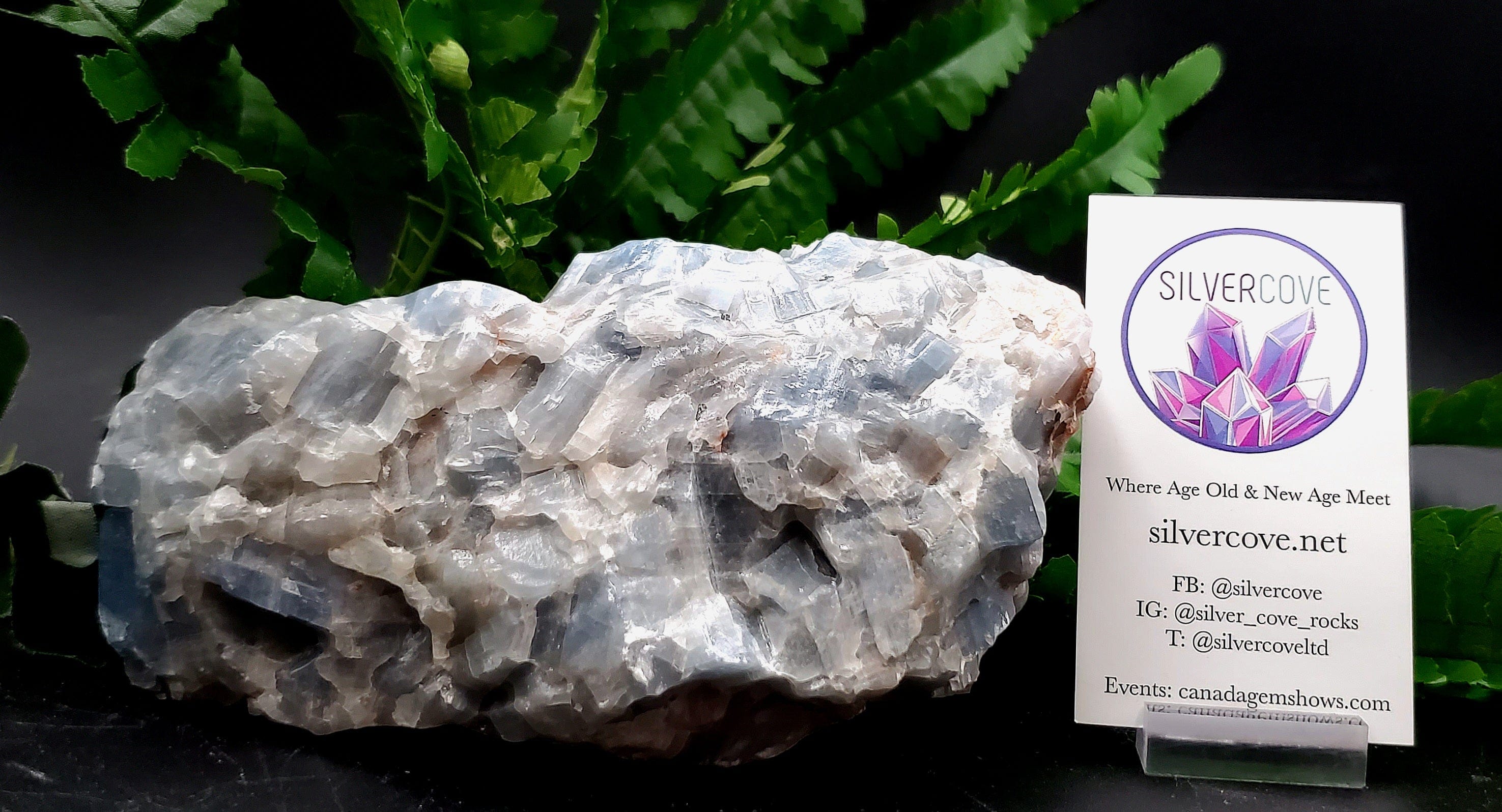 Natural Blue Calcite Crystal - 6 Pieces Set for Healing, Meditation & Home Decor | Chakra Balancing & Energy Cleansing Stone