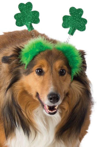 St. Patrick's Day Dog Headband Boppers - Fun Pet Accessories for St. Patrick's Day Parties & Festive Celebrations