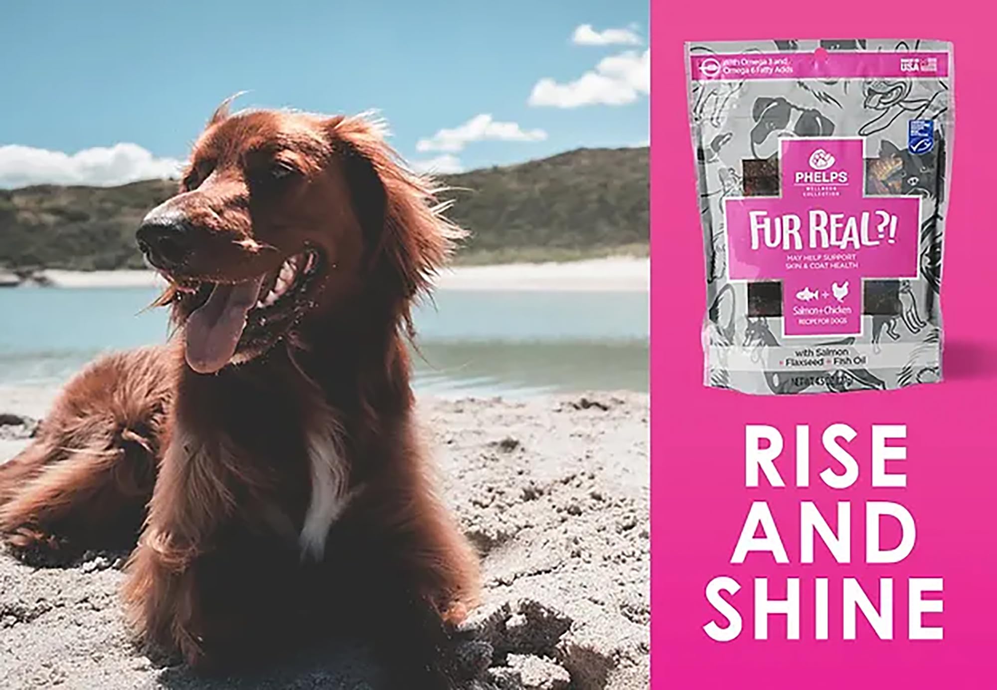 Premium Fur Real Skin & Coat Salmon & Chicken Recipe Dog Treats - 2 Pack (4.5 oz Each) - Healthy Snacks for Shiny Coat & Skin - Perfect for Training, Rewards & Daily Treats