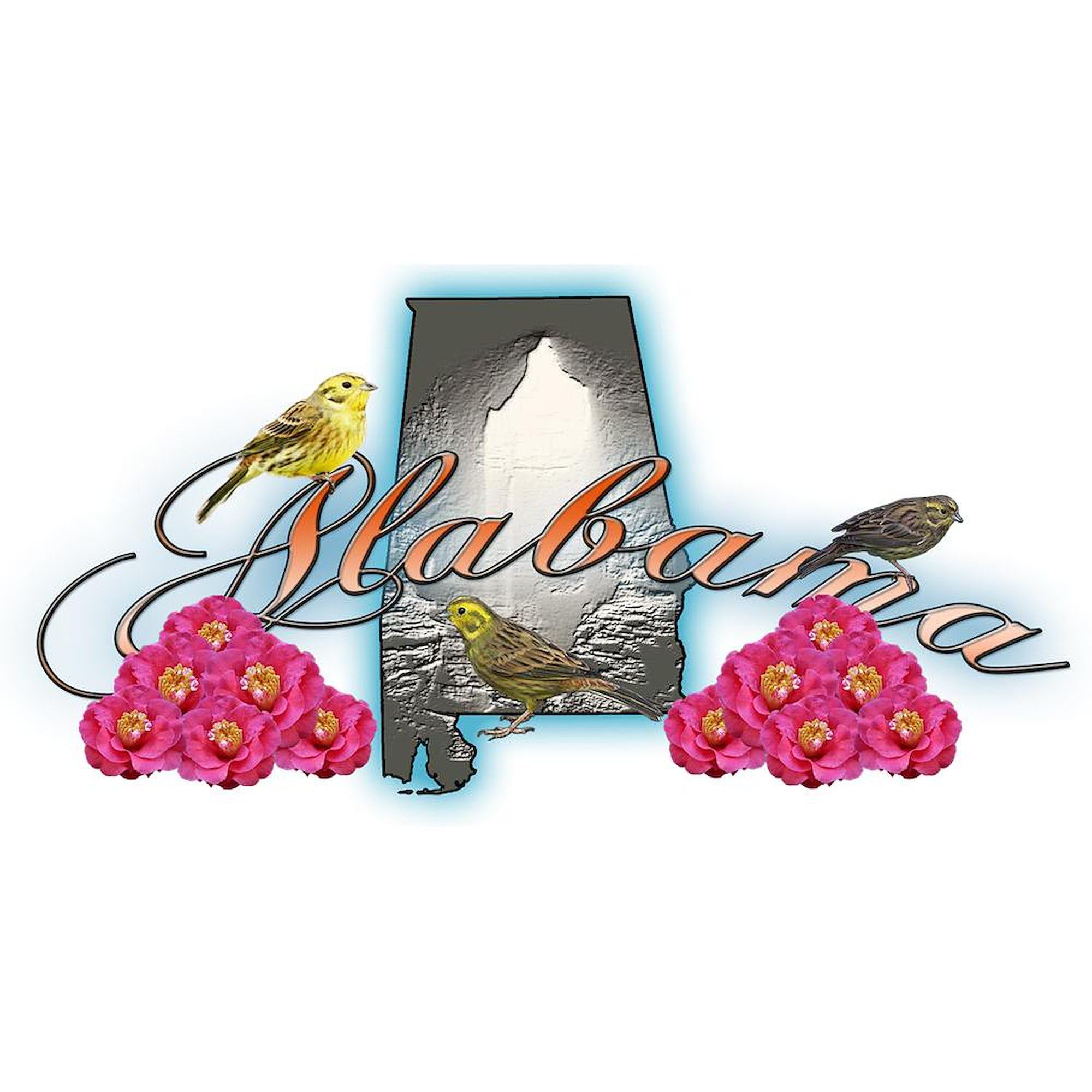 Alabama Ceramic Coffee Mug 11 oz (325 ml) - Perfect for Home, Office & Gifts | CafePress