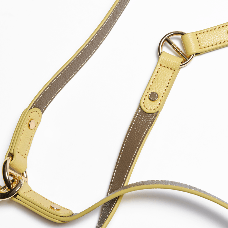 Hands Free Dog Leash - Adjustable Waist Leash for Walking, Running & Hiking with Your Dog | Comfortable & Secure Pet Training Lead for Active Owners