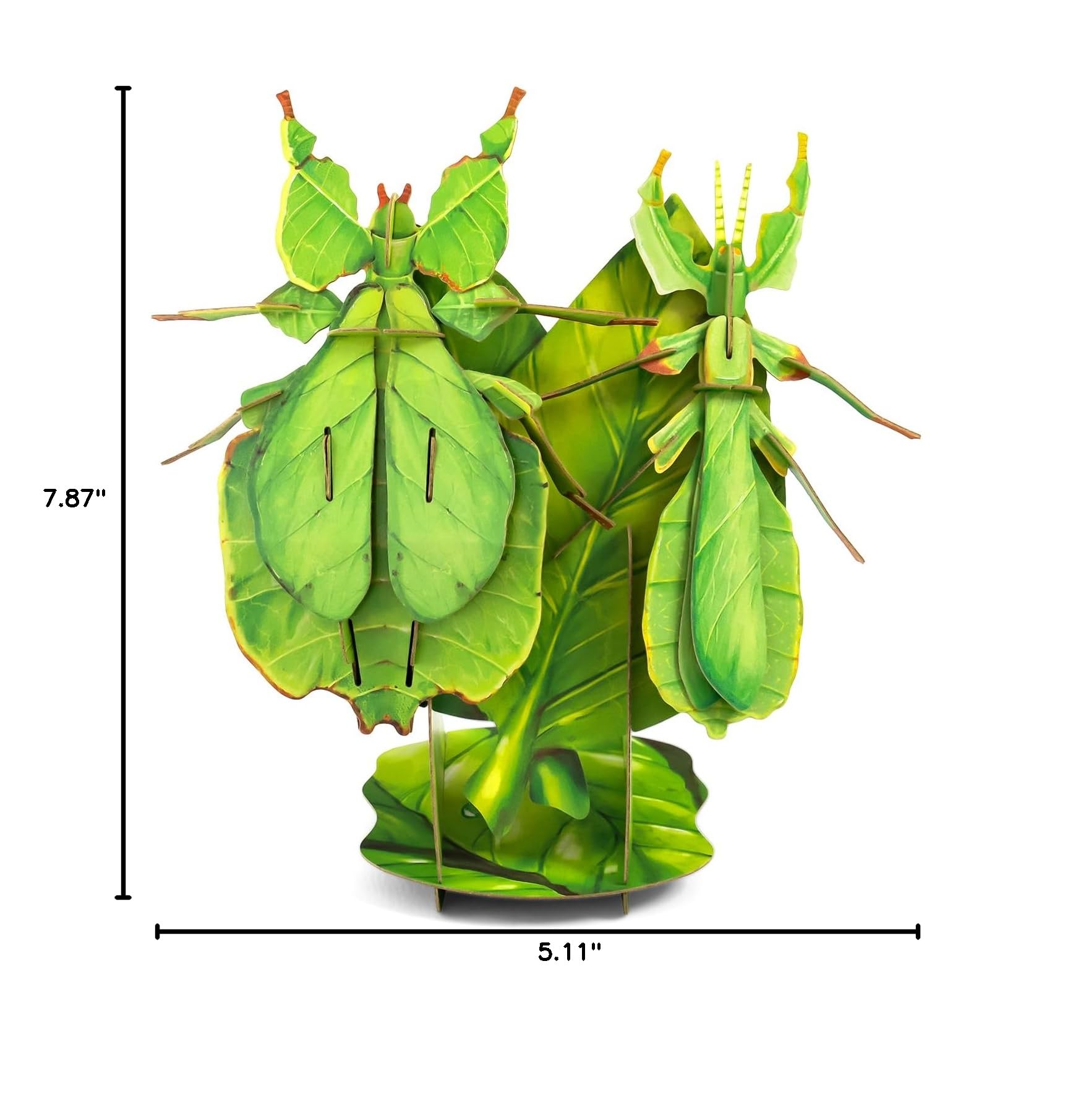 STEM Educational 3D Paper Puzzles for Kids Ages 7+ | Eco-Friendly DIY Construction Toys | Giant Asian Mantis & Phyllium Insect Models | Perfect for Birthday, Christmas Gifts & Homeschool Science Projects | Fun Classroom & Home Learning Activity