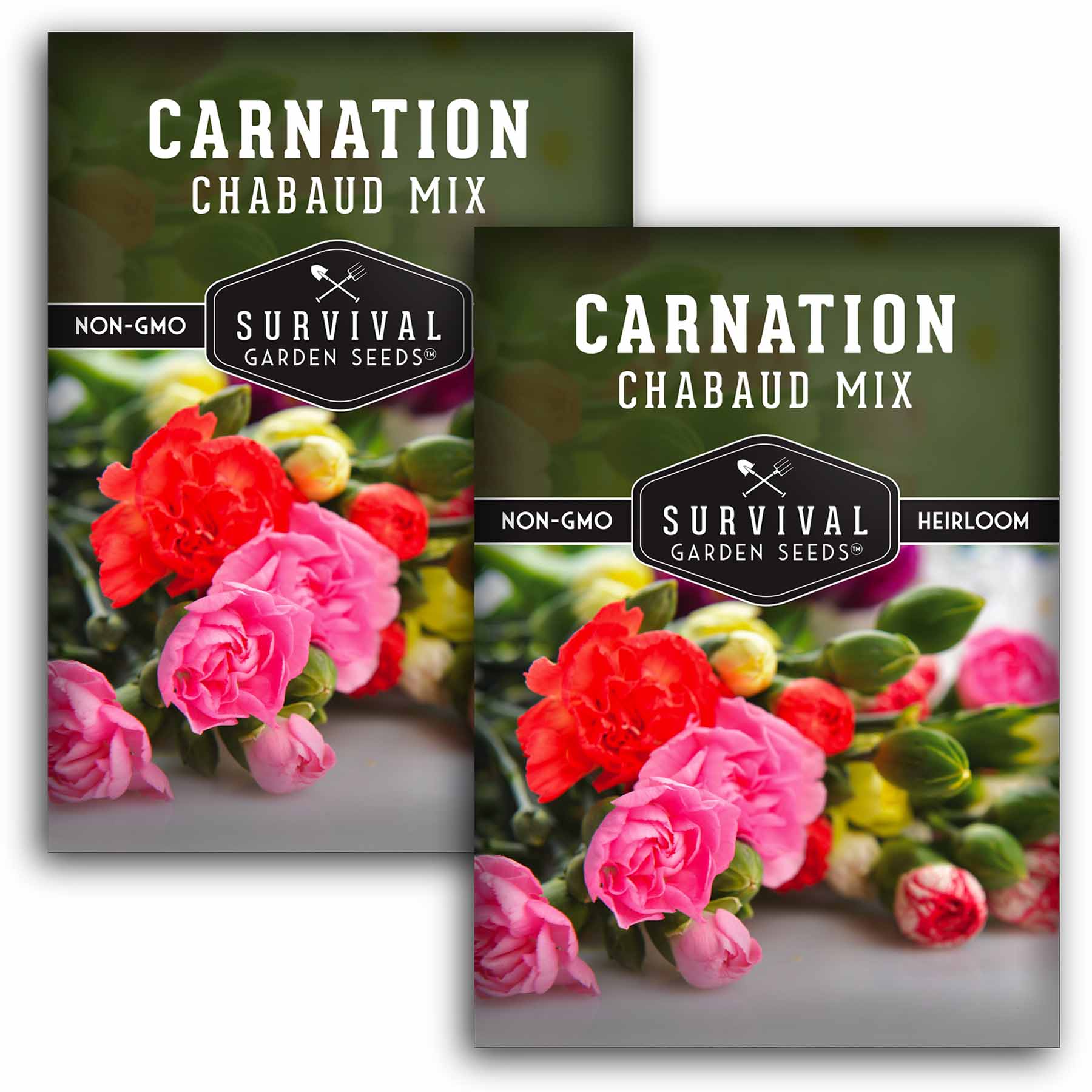 Chabaud Mix Carnation Seeds - Dianthus Caryophyllus Flower Seeds for Garden, Bouquets & Landscaping | Fragrant Cut Flowers for Home Decor & Wedding Arrangements