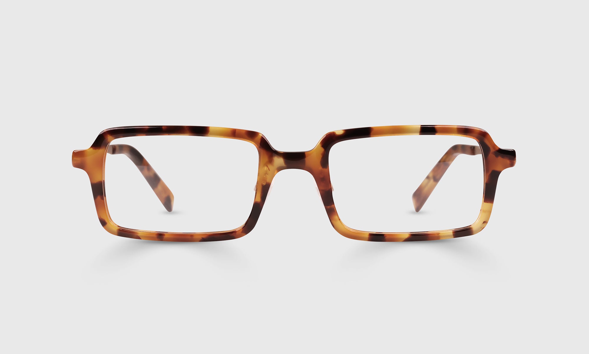 19 - Tortoise Front and Gold Temples