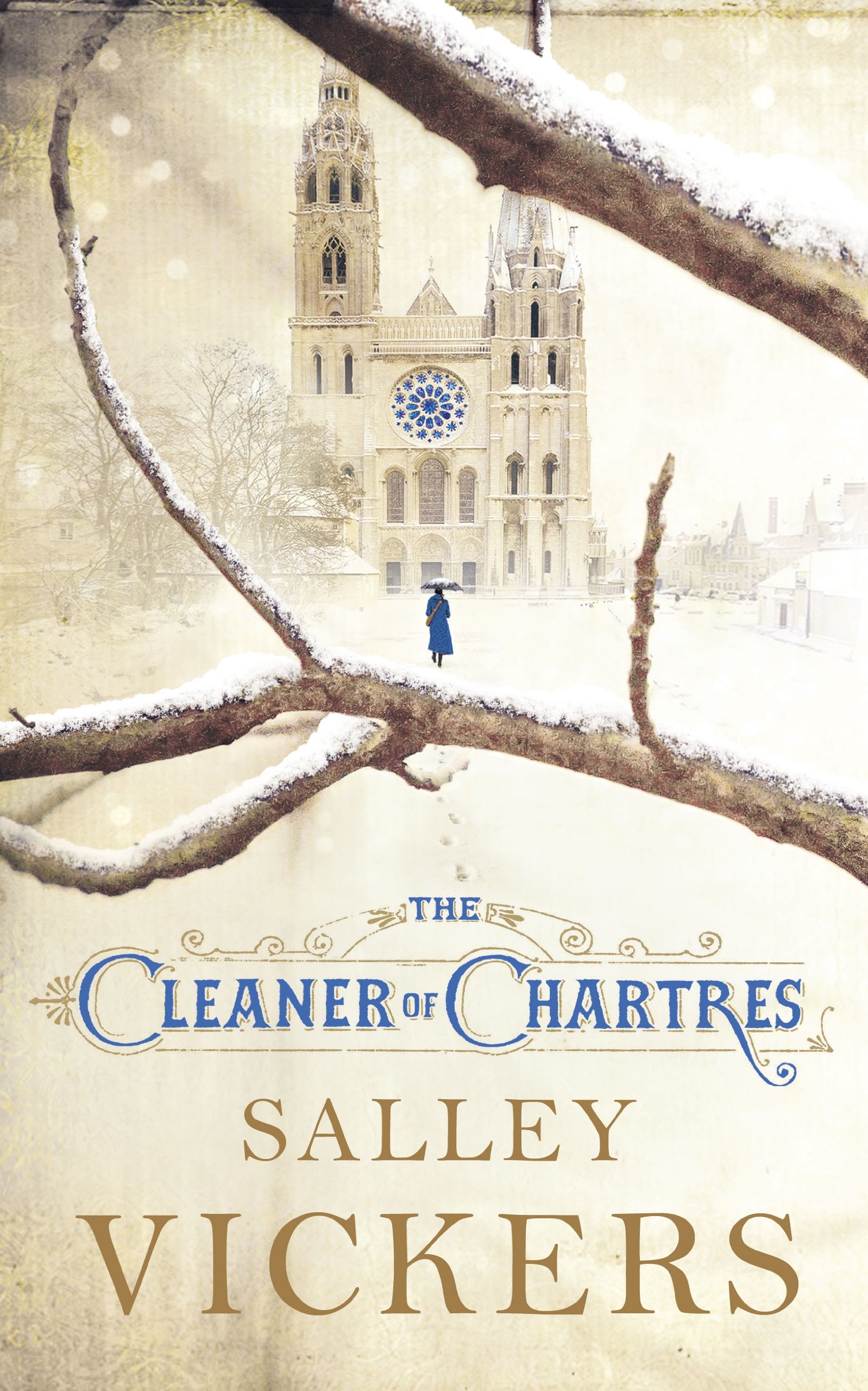 The Cleaner of Chartres - Premium Stain Remover for Carpets & Upholstery - Ideal for Home, Office & Pet Stain Cleaning