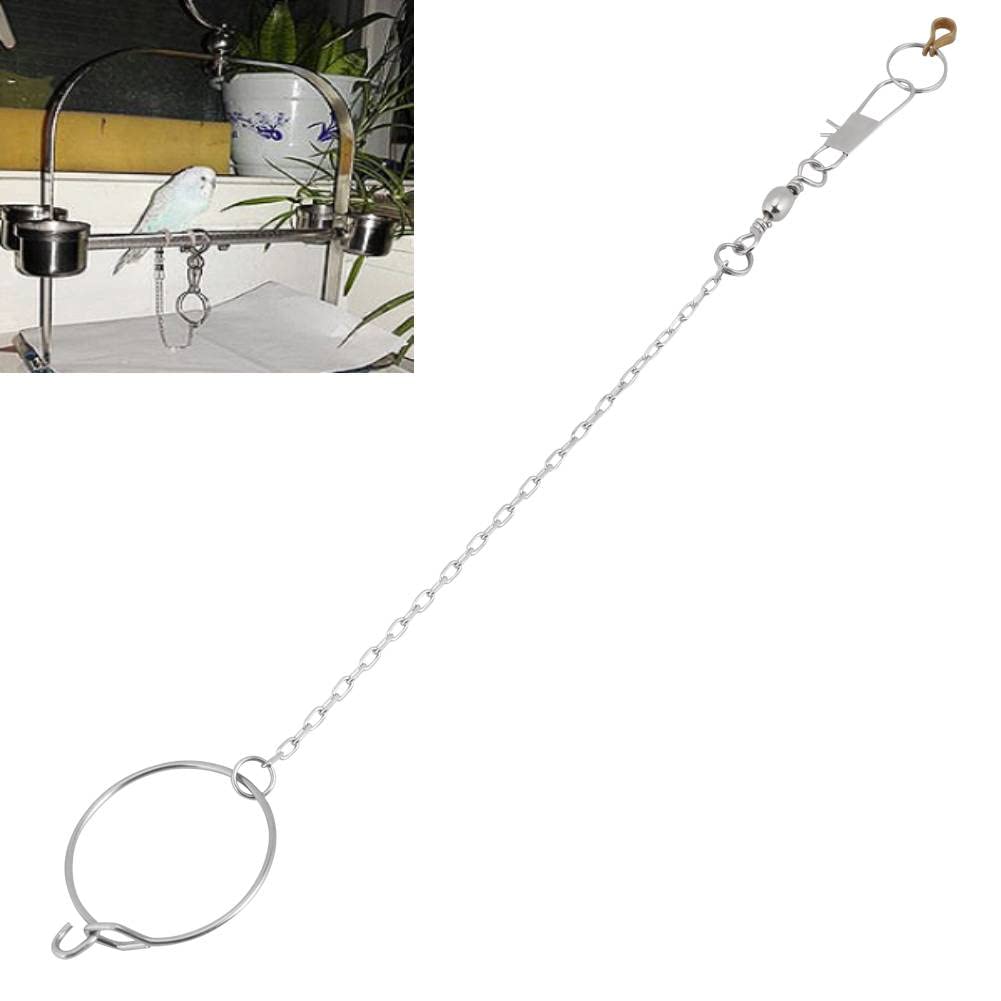 Stainless Steel Bird Anklet Chain - Adjustable Parrot Foot Ring & Leash for Cockatiel, Lovebird, Nyasa - Durable Pet Bird Supplies for Training, Outdoor Activities & Playtime