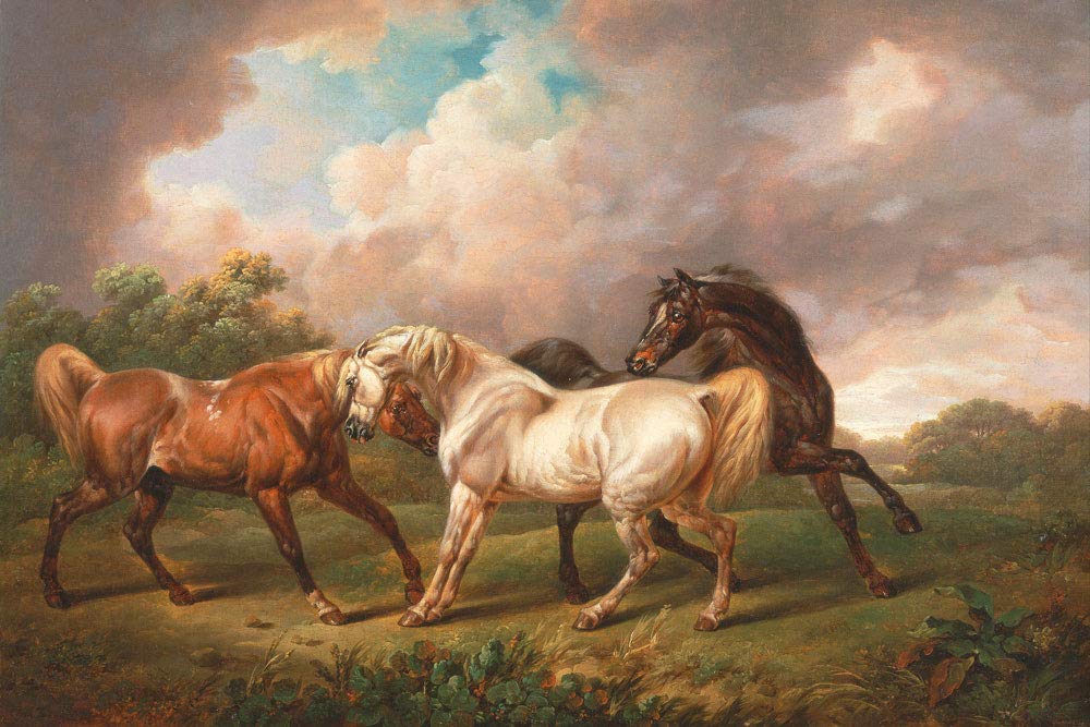 Stormy Horses Self-Adhesive Peel & Stick Wall Mural - 64x96 Inches - Removable Wallpaper for Living Room, Bedroom & Office Decor