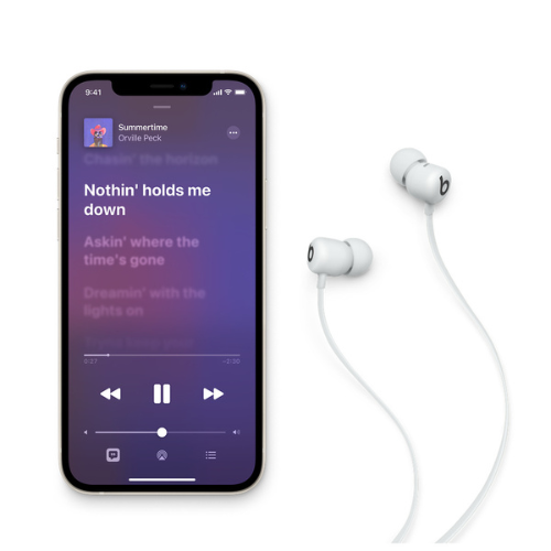 Beats Flex Wireless Earbuds by Dr. Dre - High Performance Bluetooth Earphones with Smoke Gray Finish | Perfect for Workouts, Commuting & Music Lovers