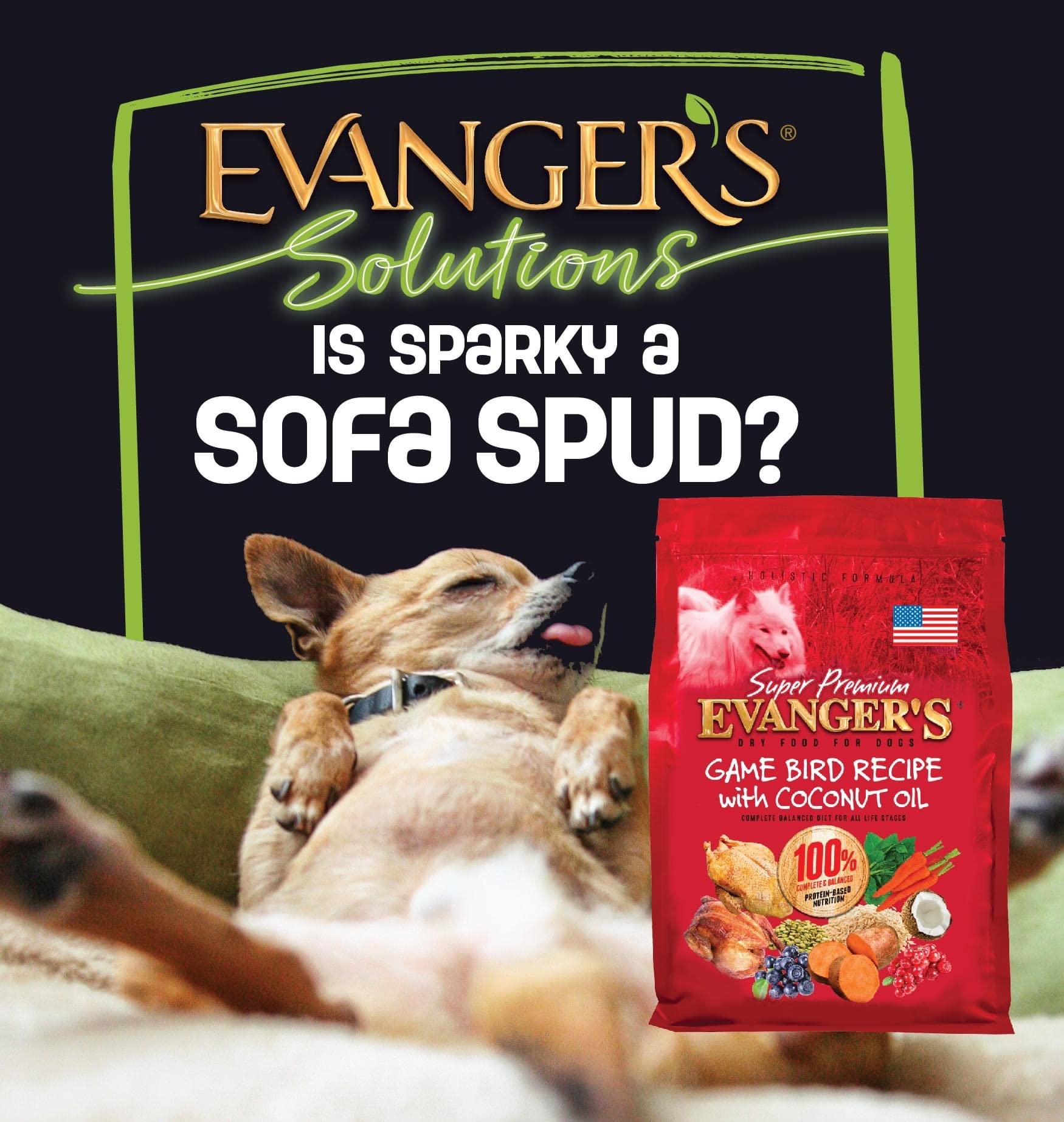 Evanger's Super Premium Gamebird Recipe with Coconut Oil Dry Dog Food - 33 lb Bag | High Protein Grain-Free Kibble for Active & Senior Dogs | Perfect for Training, Weight Management & Sensitive Stomachs