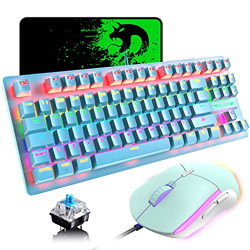 Blue/Blue Switch