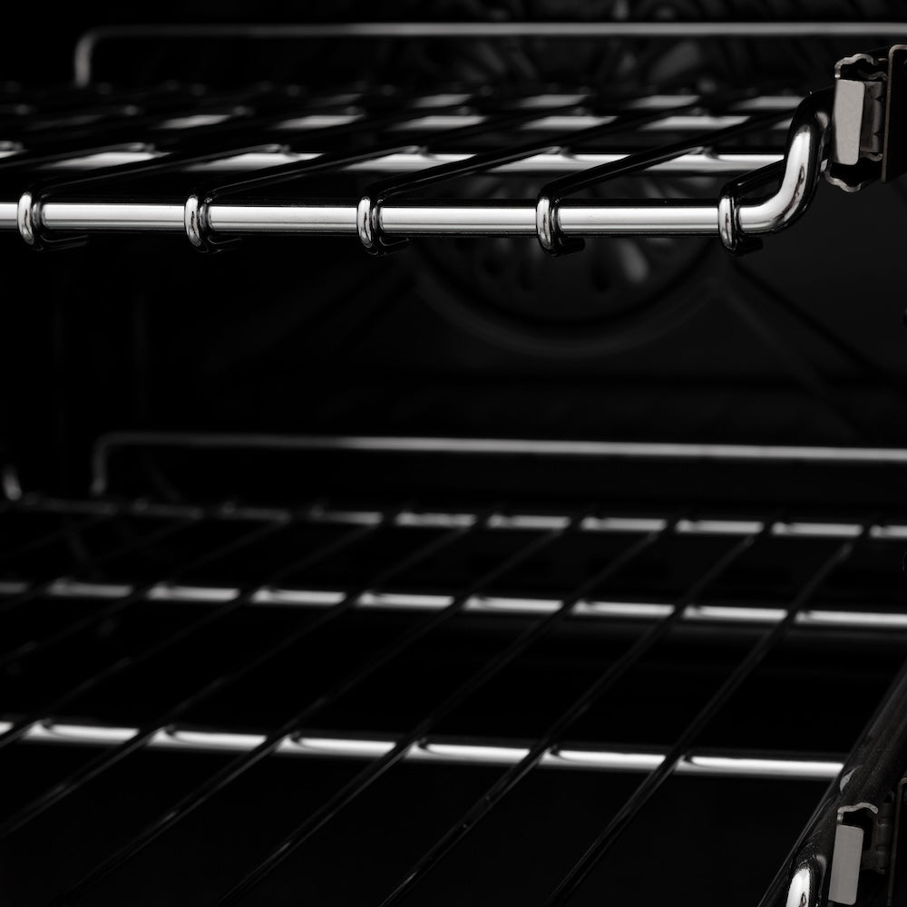 ZLINE 24 Inch 2.8 Cu. Ft Black Stainless Steel Legacy Induction Range with 4-Element Cooktop & Electric Oven (RAIND BS 24) - Perfect for Modern Kitchens & Professional Cooking