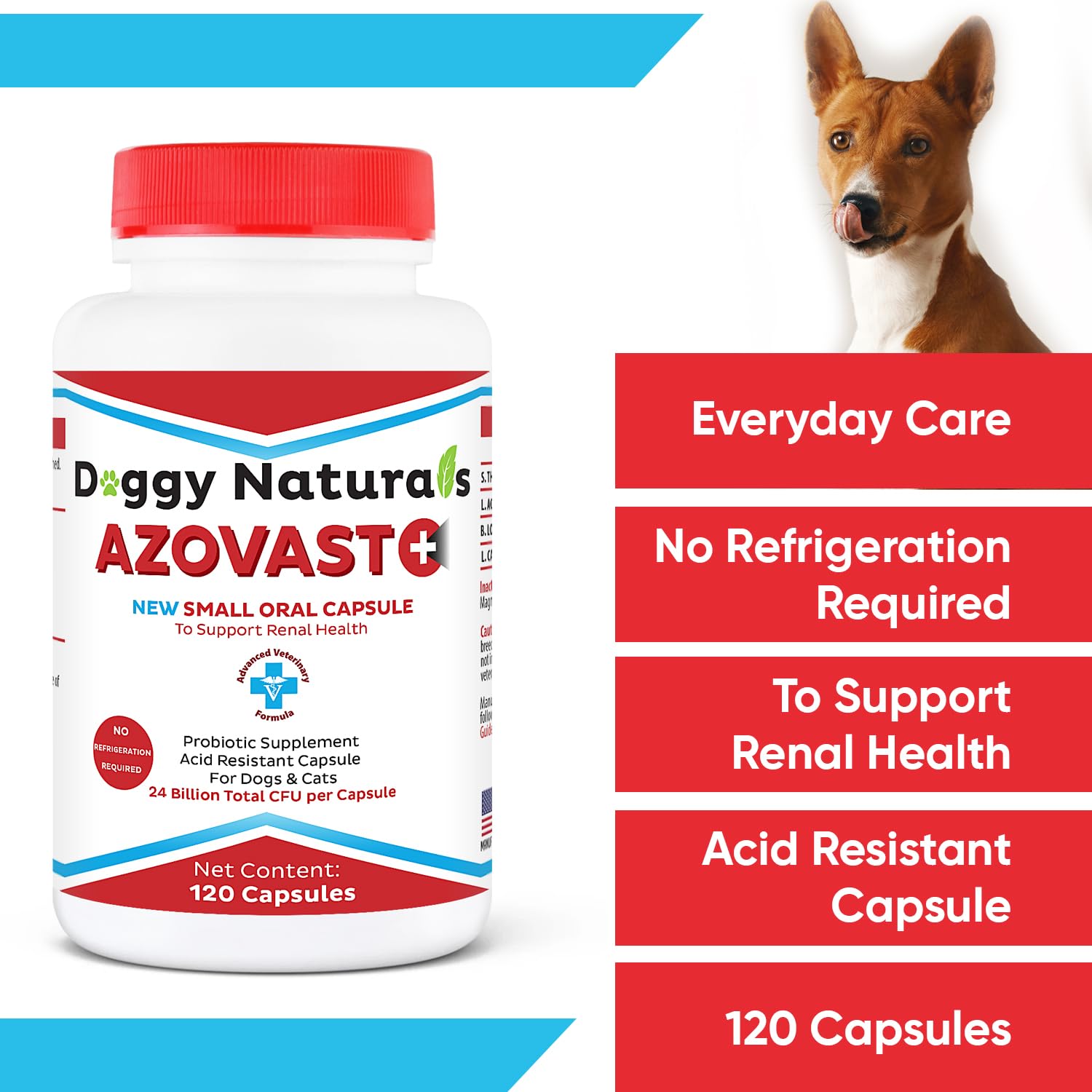 Azovast Plus Kidney Health Supplement for Dogs & Cats - 360 Capsules - Supports Kidney Function & Manages Renal Toxins - No Refrigeration Needed - Made in USA | Ideal for Senior Pets & Pets with Kidney Issues