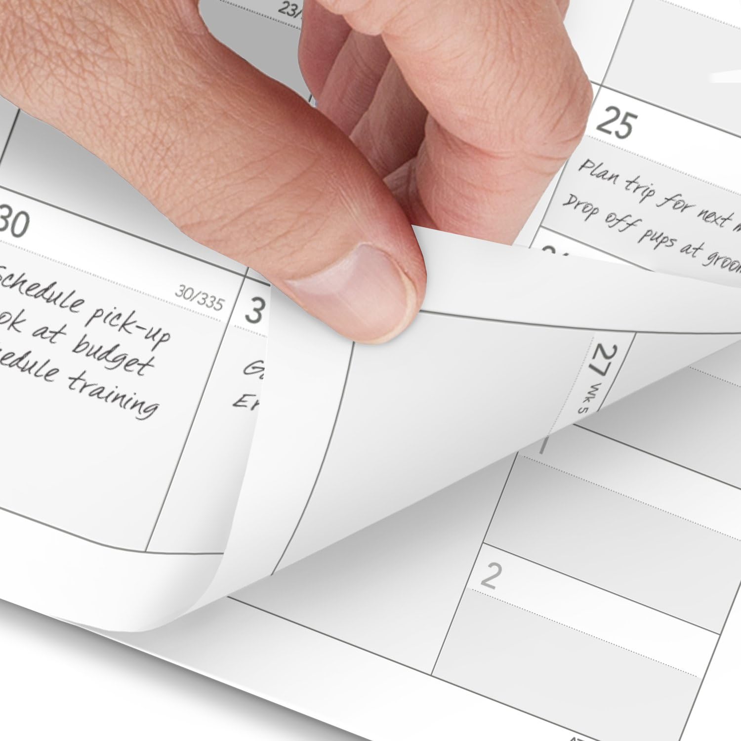 AT-A-GLANCE 2025 Monthly Planner Refill - 3.75
