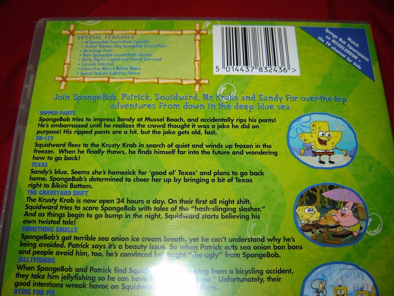 SpongeBob SquarePants Nautical Nonsense & Sponge Buddies - Fun Cartoon Collectibles for Kids, Fans, and Home Decor