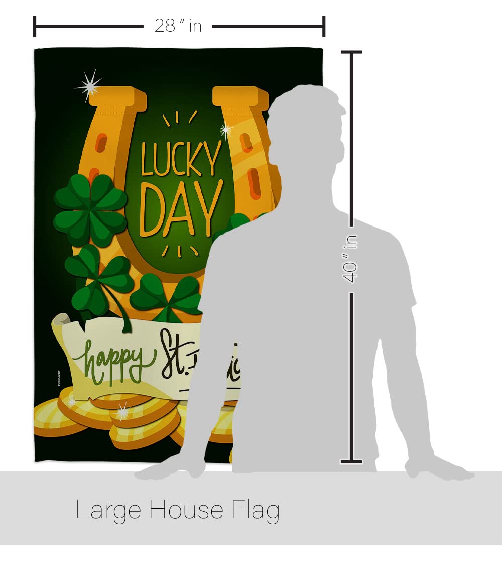 Lucky Day Spring St Patrick's Day Vertical House Flag Set - 28