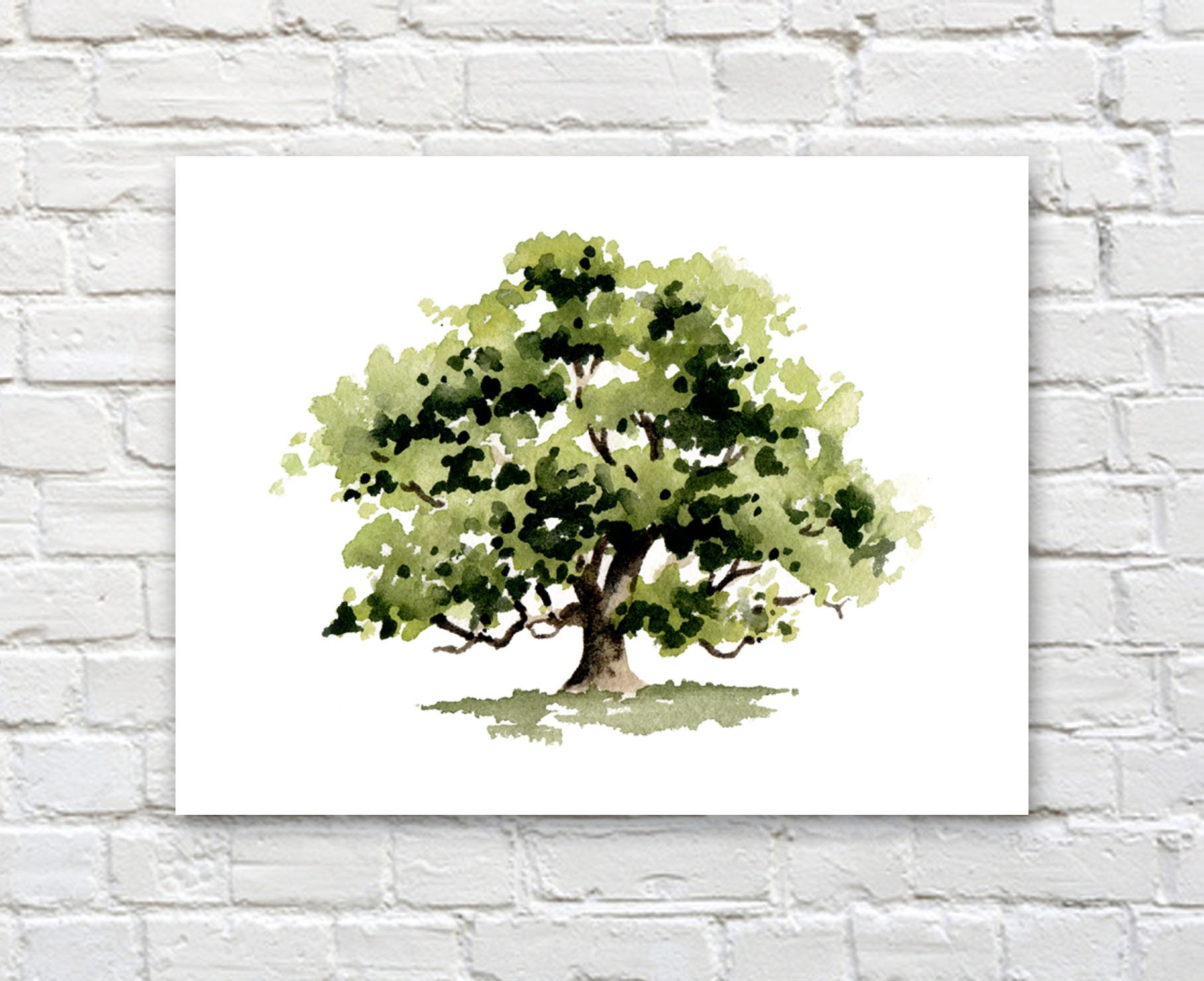 Oak Tree Watercolor Art Print by Artist DJ Rogers - Handmade Nature Wall Decor for Living Room, Bedroom & Office