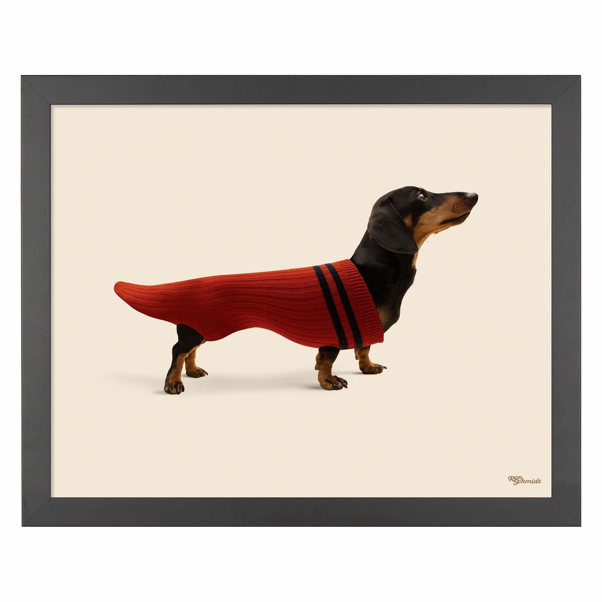 Dox in Sox Art Prints - Whimsical Dog Socks Wall Decor for Living Room, Nursery & Office | Unique Animal Illustration Artwork