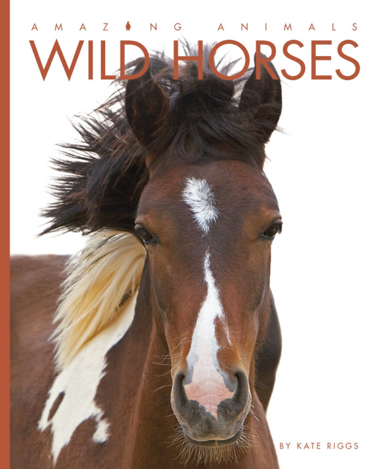 Amazing Animals (2014): Wild Horses Documentary - Nature Wildlife Film for Animal Lovers, Educational & Family Viewing | Perfect for Classroom Learning, Nature Enthusiasts & Relaxing Evenings