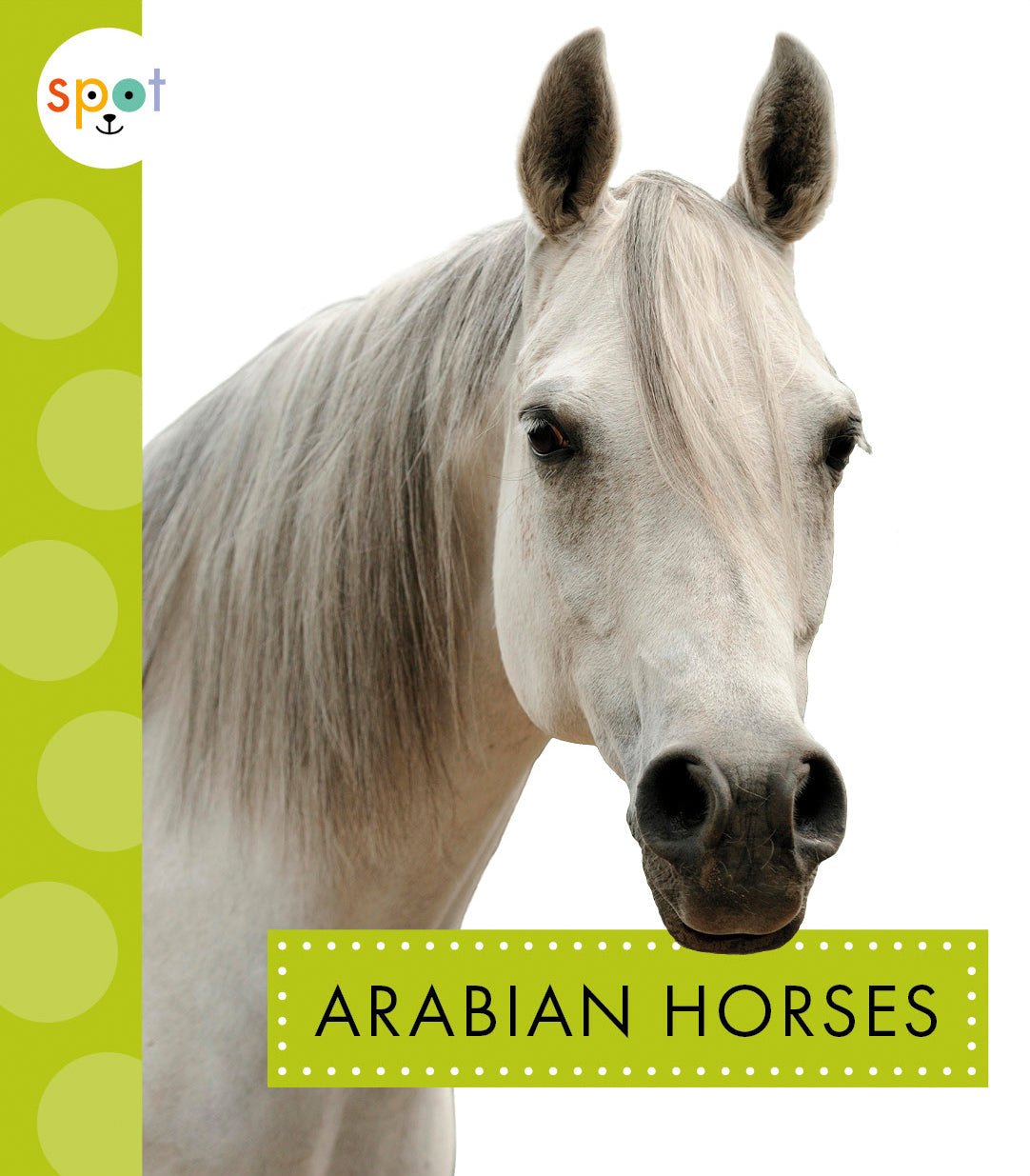 Arabian Horses Spot - Authentic Arabian Horse Decor for Home & Office - Perfect for Equestrian Lovers, Western Theme Decor, and Ranch Style Interior Design