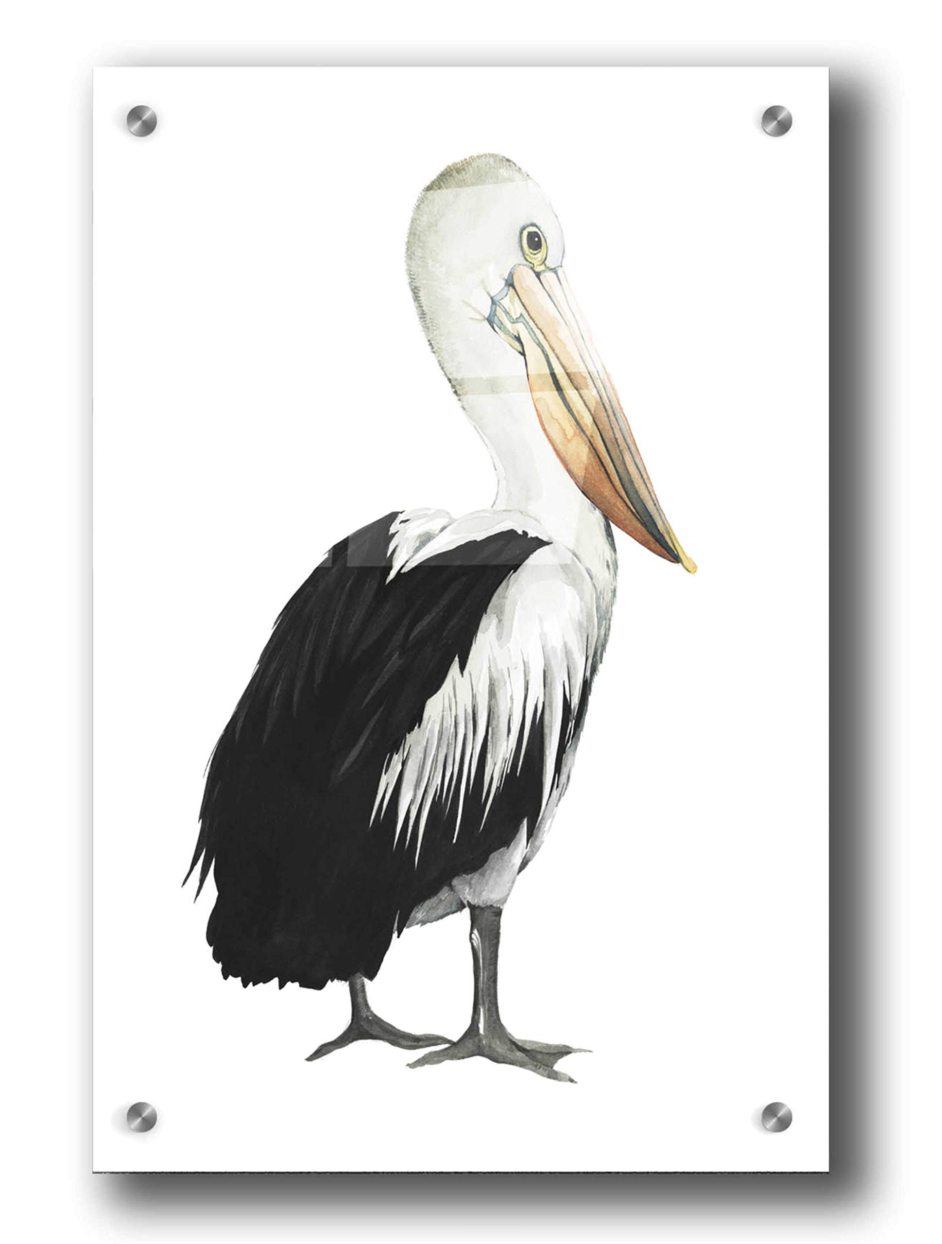 Grace Popp 'Sea Bird IV' Acrylic Glass Wall Art - 24x36 Inch Modern Ocean Painting - Perfect for Living Room, Bedroom & Office Decor