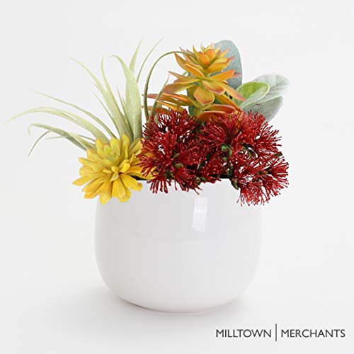 Modern White Ceramic Succulent Wall Planters - 2 Pack Hanging Vases for Living Walls | Indoor/Outdoor Home Decor, Office Plants, Vertical Garden Decorations